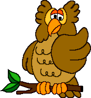 owl.gif