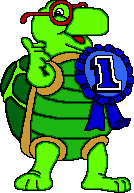 tortoise.gif